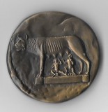 Medalie ICIRN Roma MDCCCCXCVI - Italia, 37 mm, 39,8 g