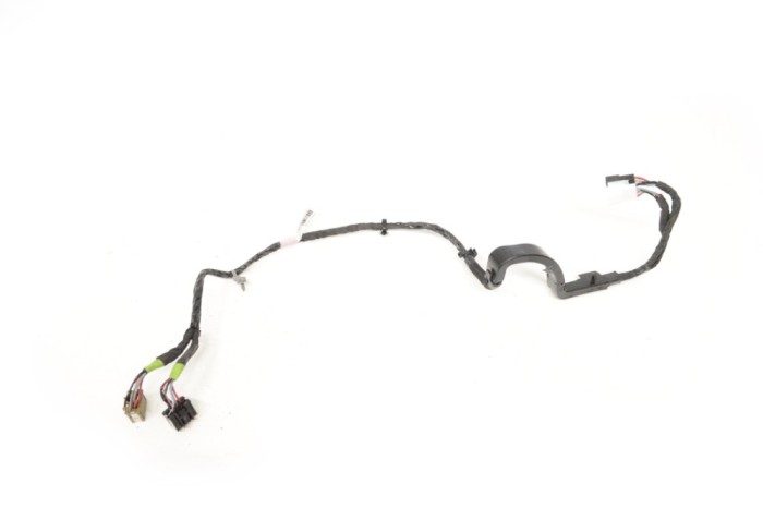 Cablaj ușă dreapta spate TESLA MODEL X 2017 OEM: P1063406-00-F 14869822