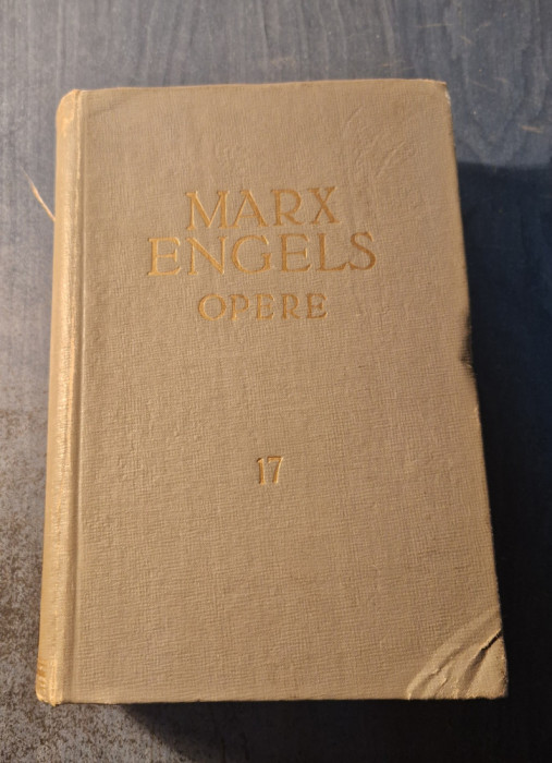 Opere volumul 17 Marx Engels