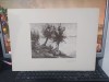 Hrandt Avachian, Planșă Delta, Ce păsări ce păsări trecură..., Buc. 1976 224