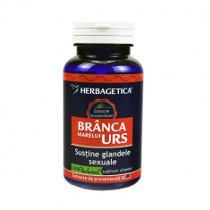 Branca Marelui Urs, 60 cps, Herbagetica