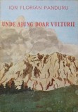 UNDE AJUNG DOAR VULTURII-ION FLORIAN PANDURU