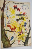 Carte povesti - Taina cea Mare -Magdalena Vaida