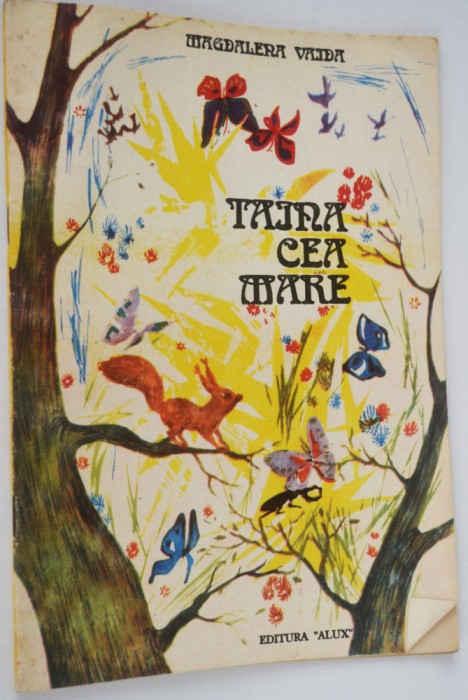 Carte povesti - Taina cea Mare -Magdalena Vaida