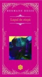 Lupul de stepa/Hermann Hesse