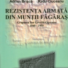 Rezistenta armata din muntii Fagaras: Grupul Ion Gavrila-Ogoranu 1949-1955