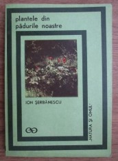 Plantele din padurile noastre / Ion Serbanescu