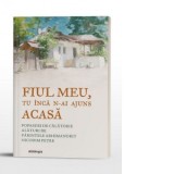 Fiul Meu, tu inca n-ai ajuns Acasa - Pr. Arhim. Nicodim Petre