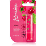 Regina Juicy Summer Raspberry balsam de buze 4,5 g