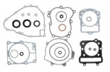 Set garnituri motor compatibil: KAWASAKI KVF 300 1999-2002, WINDEROSA