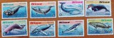 NIUE-&#039;&#039;FAUNA MARINA:PESTI,BALENE ,RECHINI&#039;&#039;-Serie complete 8 TIMBRE-MNH-Nestampilate