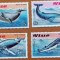 NIUE-&#039;&#039;FAUNA MARINA:PESTI,BALENE ,RECHINI&#039;&#039;-Serie complete 8 TIMBRE-MNH-Nestampilate