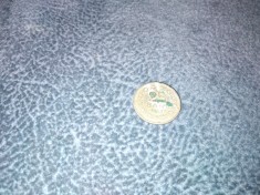 MONEDA 25 BANI 1953 foto
