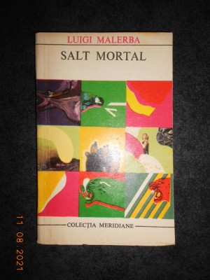 LUIGI MALERBA - SALT MORTAL foto