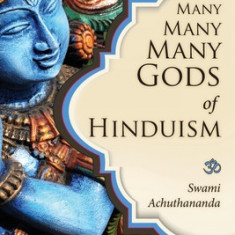 Many Many Many Gods of Hinduism: Turning Believers Into Non-Believers and Non-Believers Into Believers