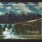 CPIB 21820 - CARTE POSTALA - PREDEAL. BUCEGI, VARFURILE BUCSOIU MARE SI MORARU