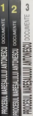 Procesul maresalului Antonescu (3 volume) foto