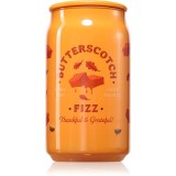 DW Home Soda Pop Butterscotch Fizz lum&acirc;nare parfumată 425 g