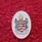 Insigna fotbal - FC FULHAM (Anglia)