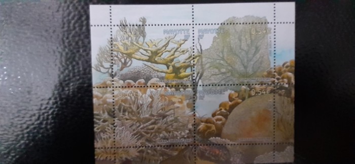 Mayotte-Fauna,fauna marina ,corali-serie completa ,nestampilat MNH (C1)