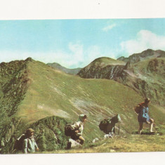 Carte Postala veche - Vedere din muntii Fagaras, Necirculata