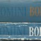 AS - LOT 2 CARTI BOLINTINEANU - OPERE ALESE