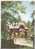 bnk cp Vatra Dornei - Vedere - circulata