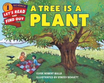 A Tree Is a Plant foto