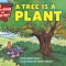 A Tree Is a Plant