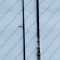 Lanseta Eastshark ADRENA Carp 3,9metri 3,75Lbs din 2 Bucati carbon IM8