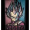 Tablou din Lemn &ndash; Vegeta 3D, 6 Straturi