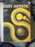 e0d Desen artistic &icirc;n industria ușoară (manual) - C. Radinschi, M. Radinschi
