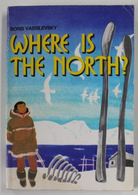 WHERE IS THE NORTH ? by BORIS VASSILEVSKY , 1977 foto