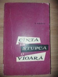 Cinta la Stupca o vioara C.Ghiban