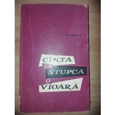 Cinta la Stupca o vioara C.Ghiban