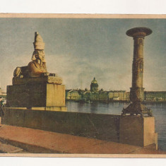 FA29-Carte Postala- RUSIA - Leningrad, Neva Sphynx, circulata 1950