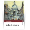 Alb si negru - Ion Gorun (Hoffman) - Roman - Beletristica