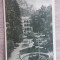 QW23 B - Carte postala - tematica turism - vedere - Romania - Baile Herculane 49