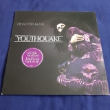 Dead Or Alive - Youthquake _ vinyl,LP _ Epic, Europa, 1985 _ VG+ / VG+, VINIL, Pop