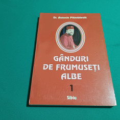 GÂNDURI DE FRUMUSEȚI ALBE / VOL. I / DR. ANTONIE PLĂMĂDEALĂ / 2004 *