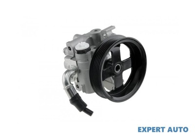Pompa servo Ford Transit Connect (2002-2012)[P65_,P70_,P80] #1 foto