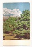 FA120 -Carte Postala- UCRAINA - Alupka. Alupka Palace museum , necirculata 1971