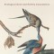 Mourning in the Anthropocene: Ecological Grief and Earthly Coexistence