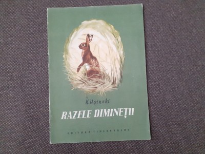 K. D. Usinski - Razele diminetii foto