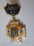 Medalie militara Ucraina:Militar demobilizat din armata ucraineana, Europa