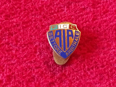 Insigna (cu talpa) fotbal - Federatia de Fotbal din ITALIA - ARBITRI foto