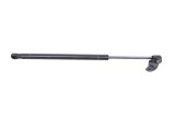 Amortizor capota st&acirc;nga față TESLA MODEL S 2016 OEM: 1062634-00-A 28252191