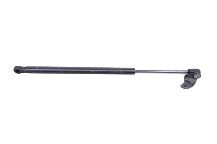Amortizor capota st&acirc;nga față TESLA MODEL S 2016 OEM: 1062634-00-A 28252191