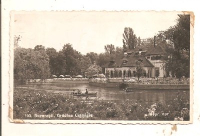 Carte postala Gradina Cismigiu foto