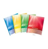 Caiet A4 Aurora Splendid, 60 file, dictando